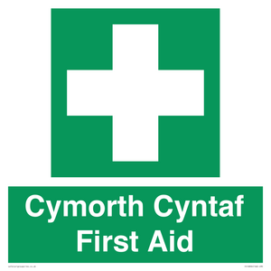 Cymorth Cyntaf First Aid in Welsh